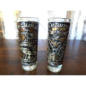 2 Raised Metal Label Tequila Cozumel Mexico Double Shot Glasses Seahorse Ship
